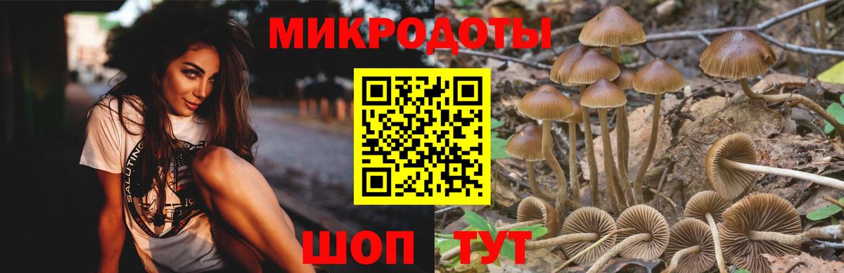 Великие Луки  Галлюциногенные грибы Psilocybine cubensis  Вход с VPN 